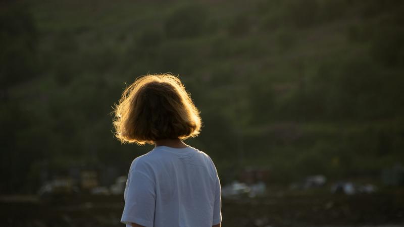 A short bob lit gold by the low evening sun, seen from behind